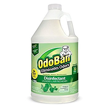 OdoBan Disinfectant Odor Eliminator and All Purpose Cleaner Concentrate, , 128 oz (1, Eucalyptus)