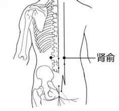 中年人补肾14法，你知道了没？